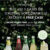 Champers Drinks - Promotions - Fever Tree